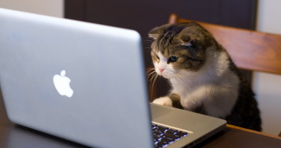 Eyes on Web - Améliorer votre fil d'actualité